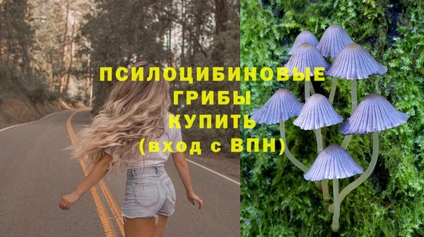 экстази Белокуриха