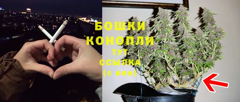 цена наркотик  Шарыпово  Каннабис SATIVA & INDICA 